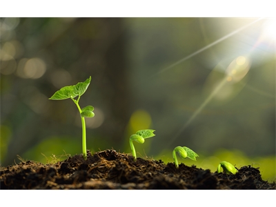 標題：咨詢福利丨第三期低價心理咨詢活動報名 
瀏覽次數：1396
發(fā)表時間：2023-09-21